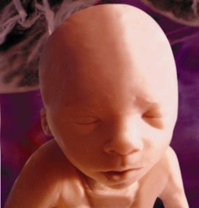 24_week_baby.jpg