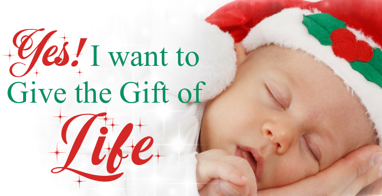 Christmas_Gift_of_Life_Banner[1].png