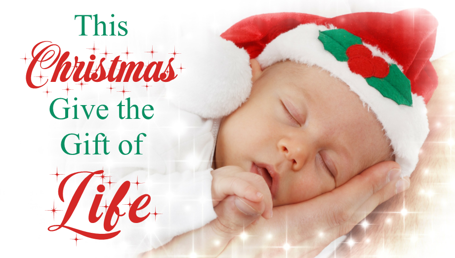 Christmas_Homepage_Ad_Gift_of_Life.png