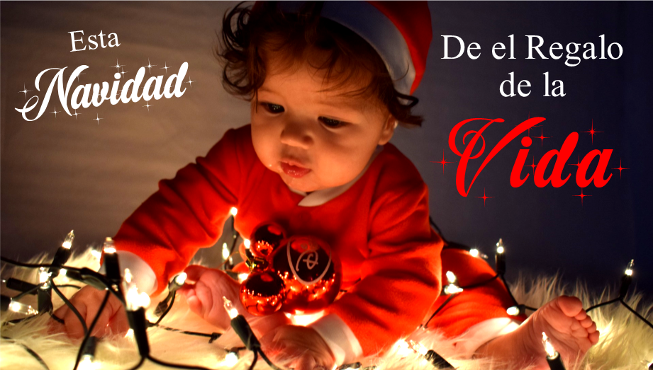 Christmas_Homepage_Ad_Spanish.png
