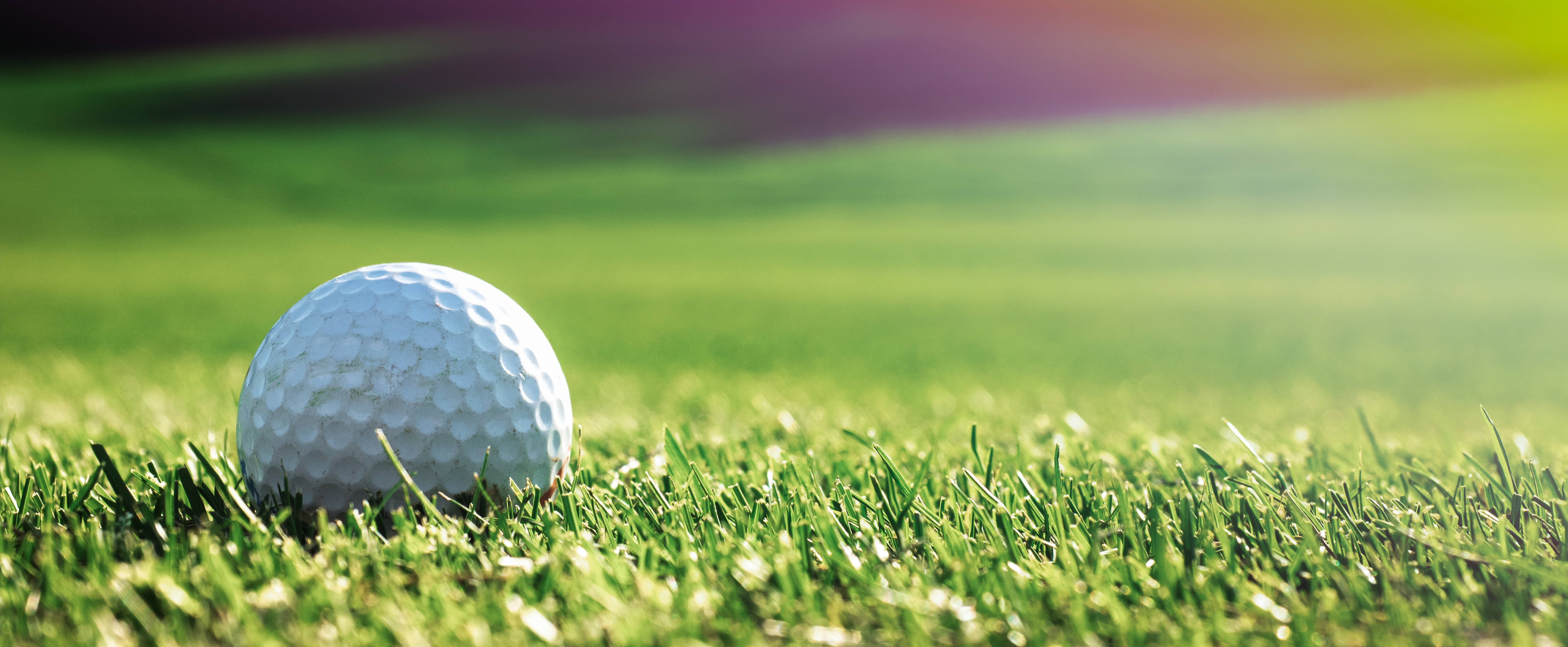 Golf_Tournament_Web_Banner.jpg