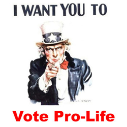 I_want_you_to_vote_pro_life.jpg