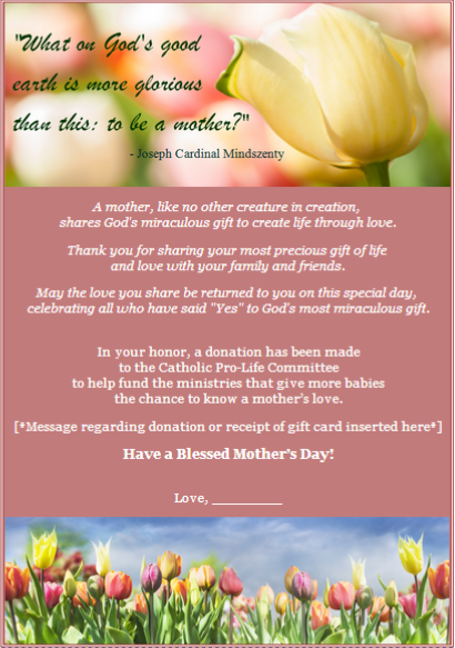 Mothers_Day_Preview_2014.png
