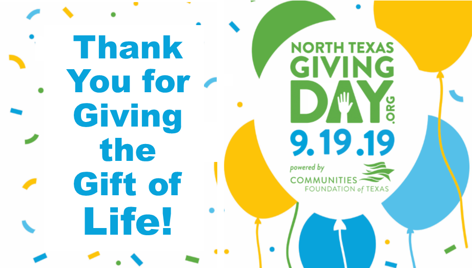 NTX_Giving_Day_2019_Web_Ad.png