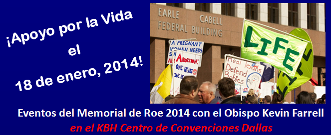 Roe_Memorial_2014_Banner_Spanish.png