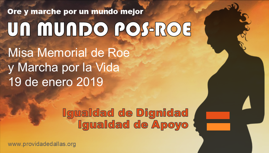 Roe_Memorial_2019_Spanish_webpage_art.png