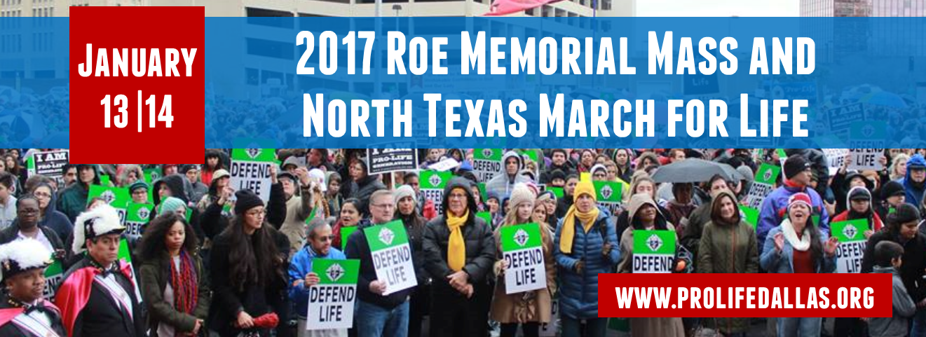 Roe_Memorial_Events_English_FB_Banner_2017.png