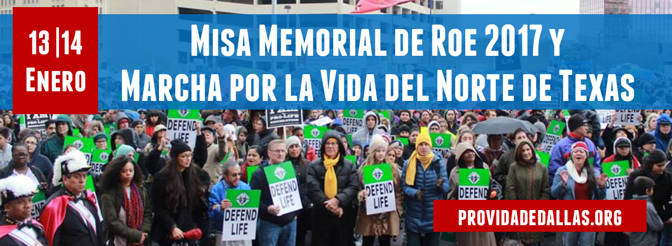 Roe_Memorial_Events_Spanish_FB_Banner_2017.png