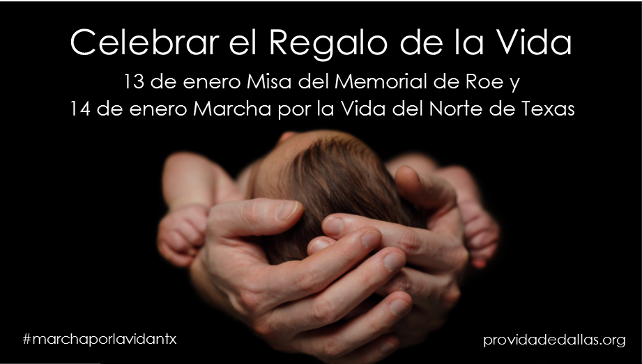 Roe_Memorial_Online_Spanish_Ad.png