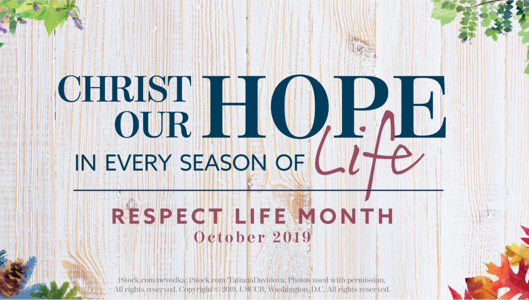 Web_Ad_-_repect_life_month_2019.png