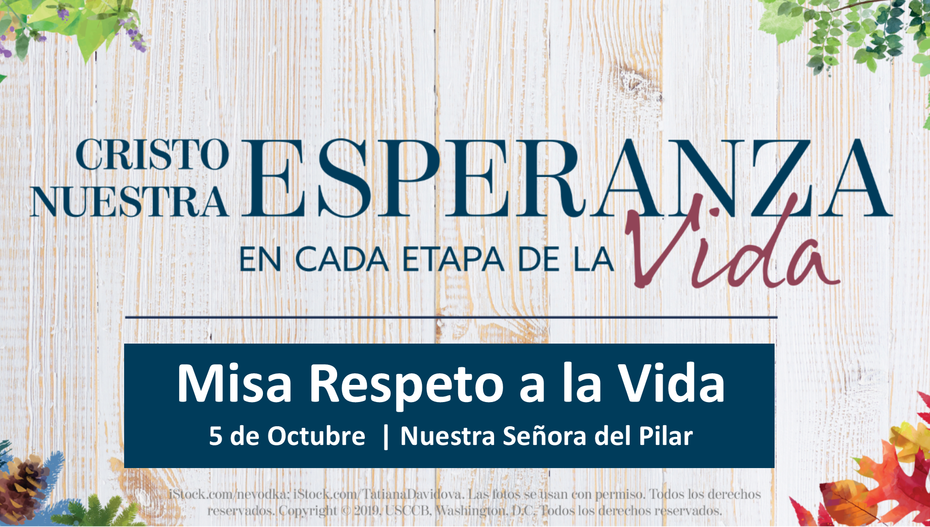 Web_Ad_-_respect_life_mass_2019_SPANISH.png